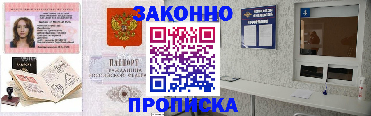 прописка в квартире в Шумихе